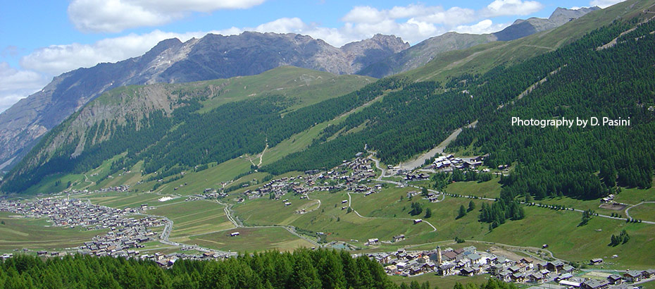 photo Bormolini Hotels, Valtellina