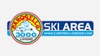 logo Skiarea