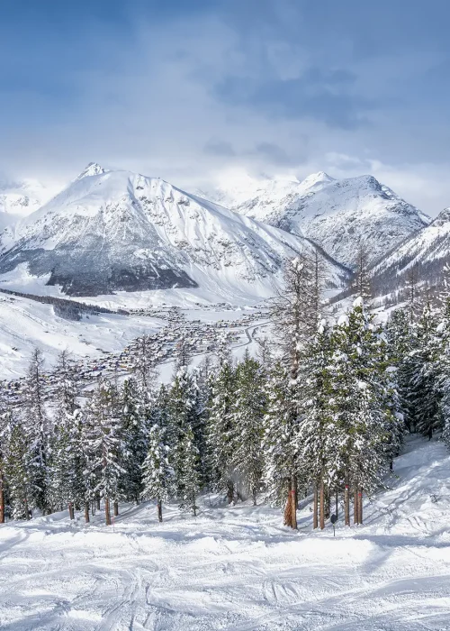 Paesaggio montano innevato con pini e villaggio al centro.